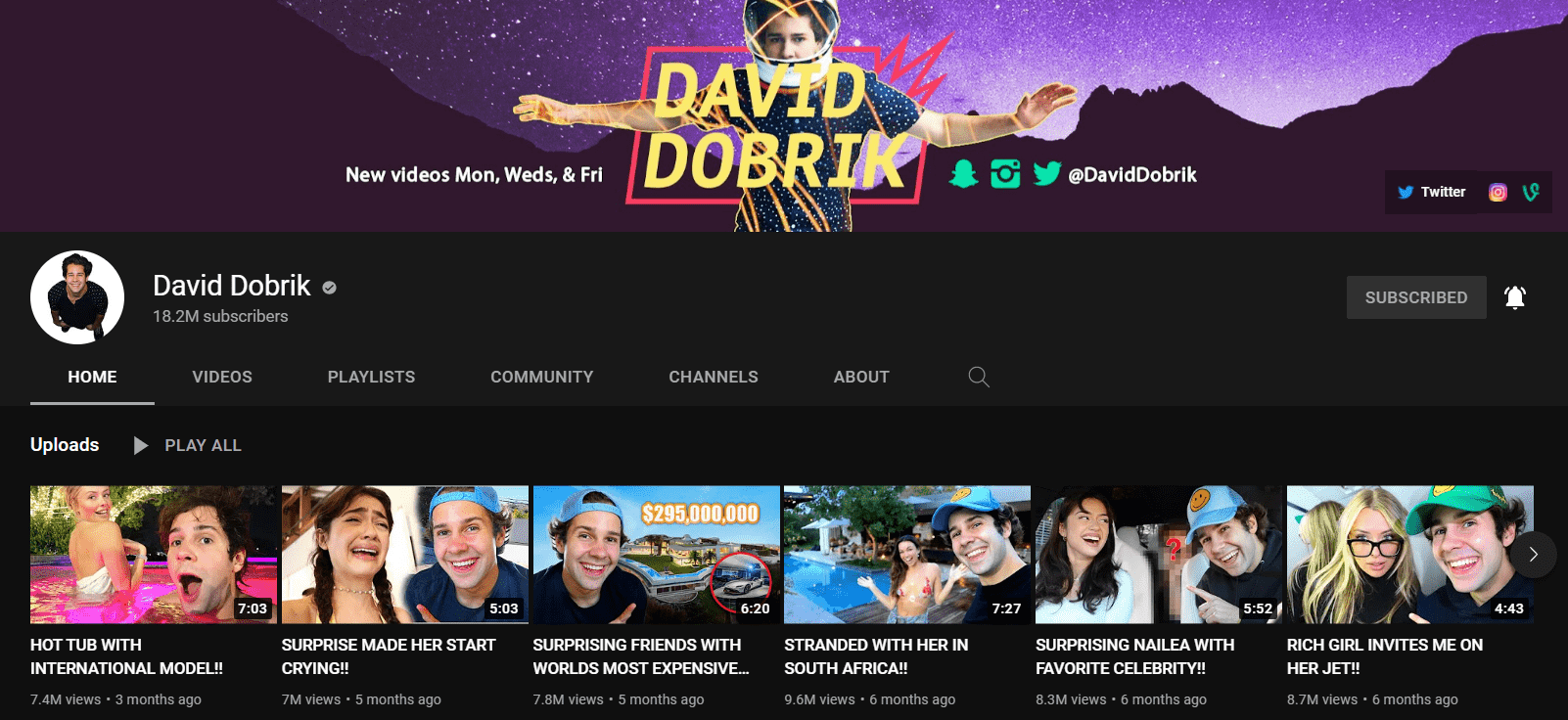 David YouTube